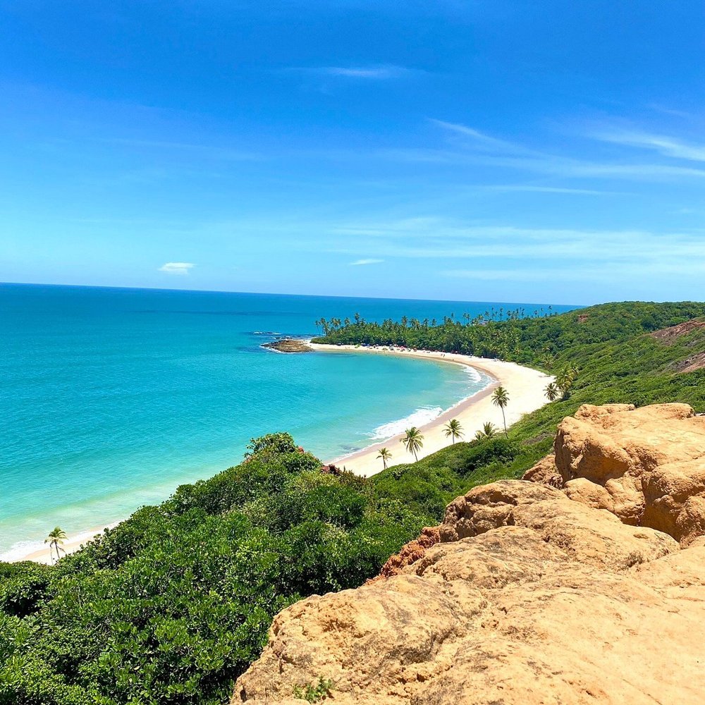 Praia com coqueiros e mar azul no litoral da Paraíba